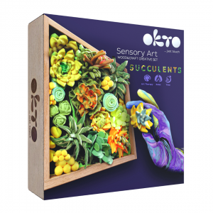 Okto Sensory art Succulents