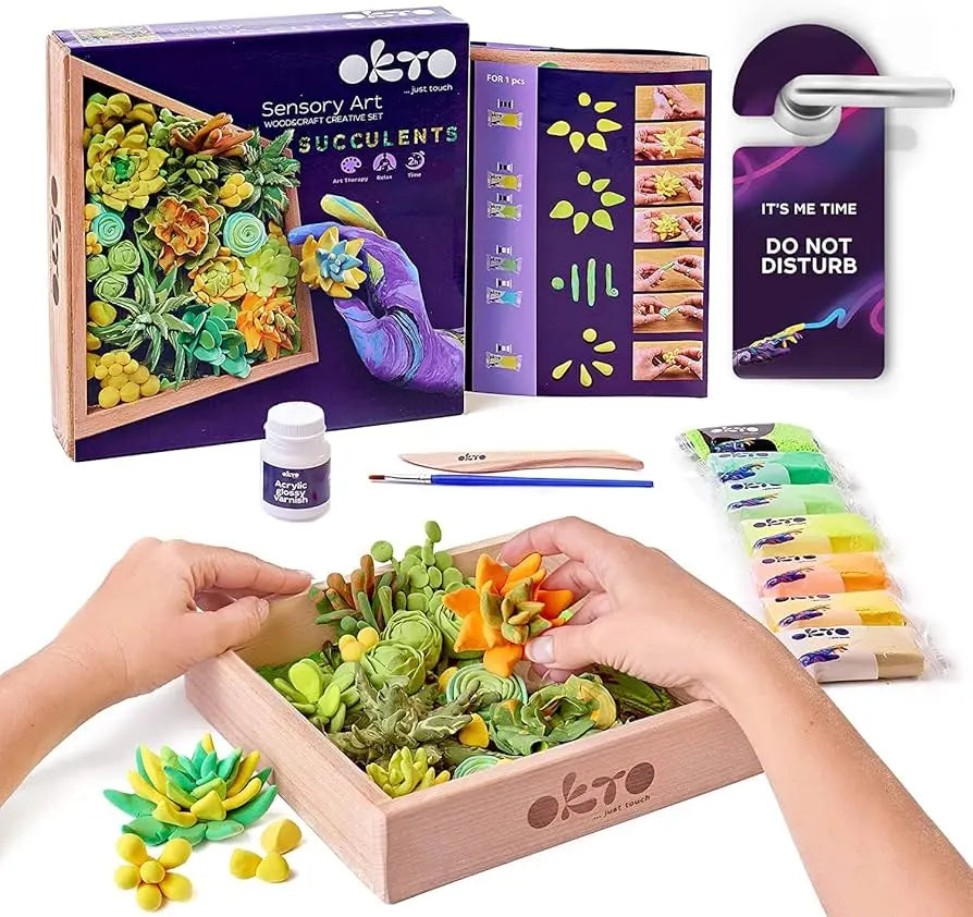 Okto Sensory art Succulents